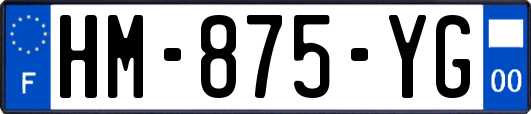 HM-875-YG