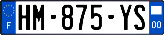 HM-875-YS