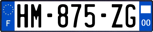 HM-875-ZG