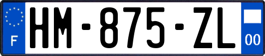 HM-875-ZL