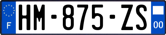 HM-875-ZS