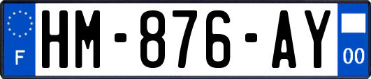 HM-876-AY