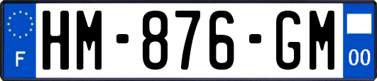 HM-876-GM