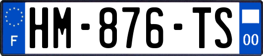 HM-876-TS