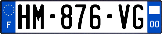 HM-876-VG