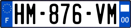 HM-876-VM