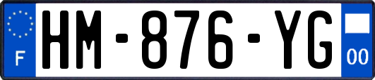 HM-876-YG