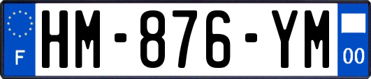 HM-876-YM