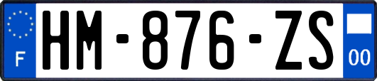 HM-876-ZS