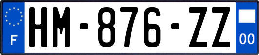 HM-876-ZZ