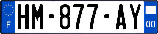 HM-877-AY