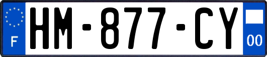 HM-877-CY