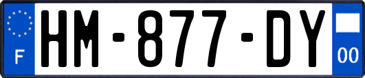 HM-877-DY