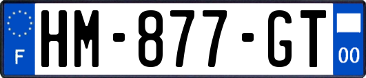 HM-877-GT
