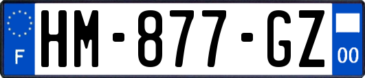 HM-877-GZ