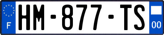 HM-877-TS