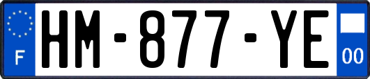 HM-877-YE