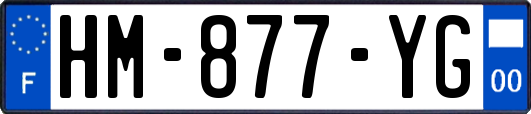 HM-877-YG