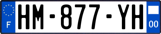 HM-877-YH