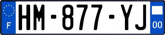 HM-877-YJ