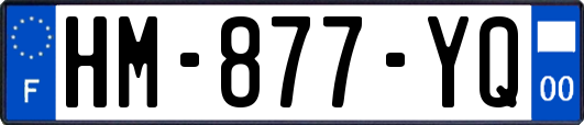 HM-877-YQ