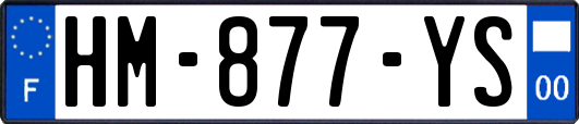 HM-877-YS