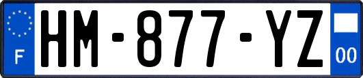 HM-877-YZ