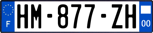 HM-877-ZH