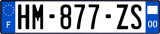 HM-877-ZS