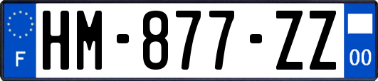 HM-877-ZZ