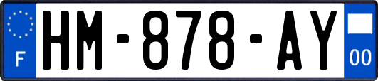 HM-878-AY