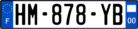HM-878-YB