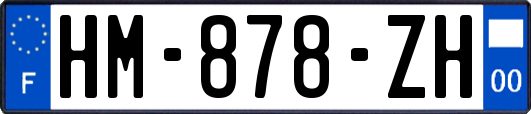 HM-878-ZH