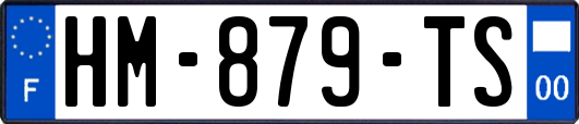 HM-879-TS