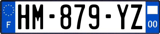 HM-879-YZ
