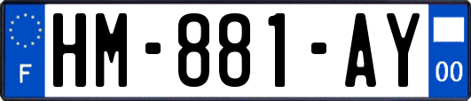 HM-881-AY