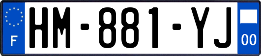 HM-881-YJ