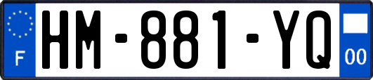 HM-881-YQ