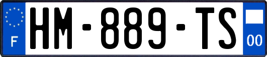HM-889-TS