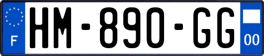 HM-890-GG