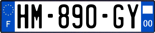 HM-890-GY