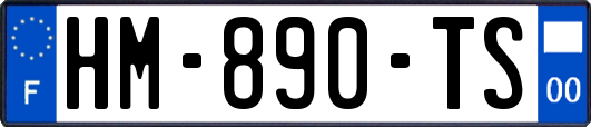 HM-890-TS
