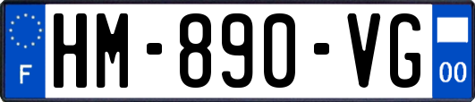 HM-890-VG