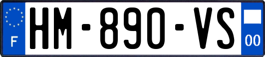 HM-890-VS