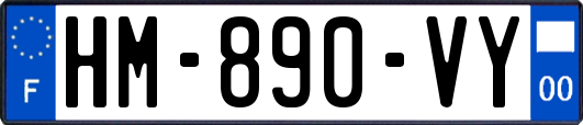 HM-890-VY