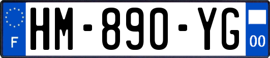 HM-890-YG