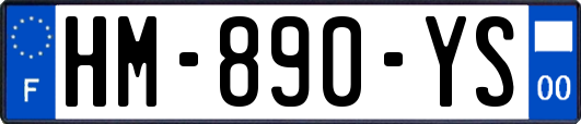 HM-890-YS