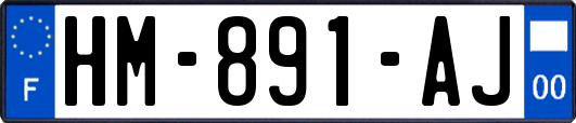 HM-891-AJ