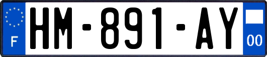 HM-891-AY