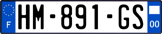 HM-891-GS